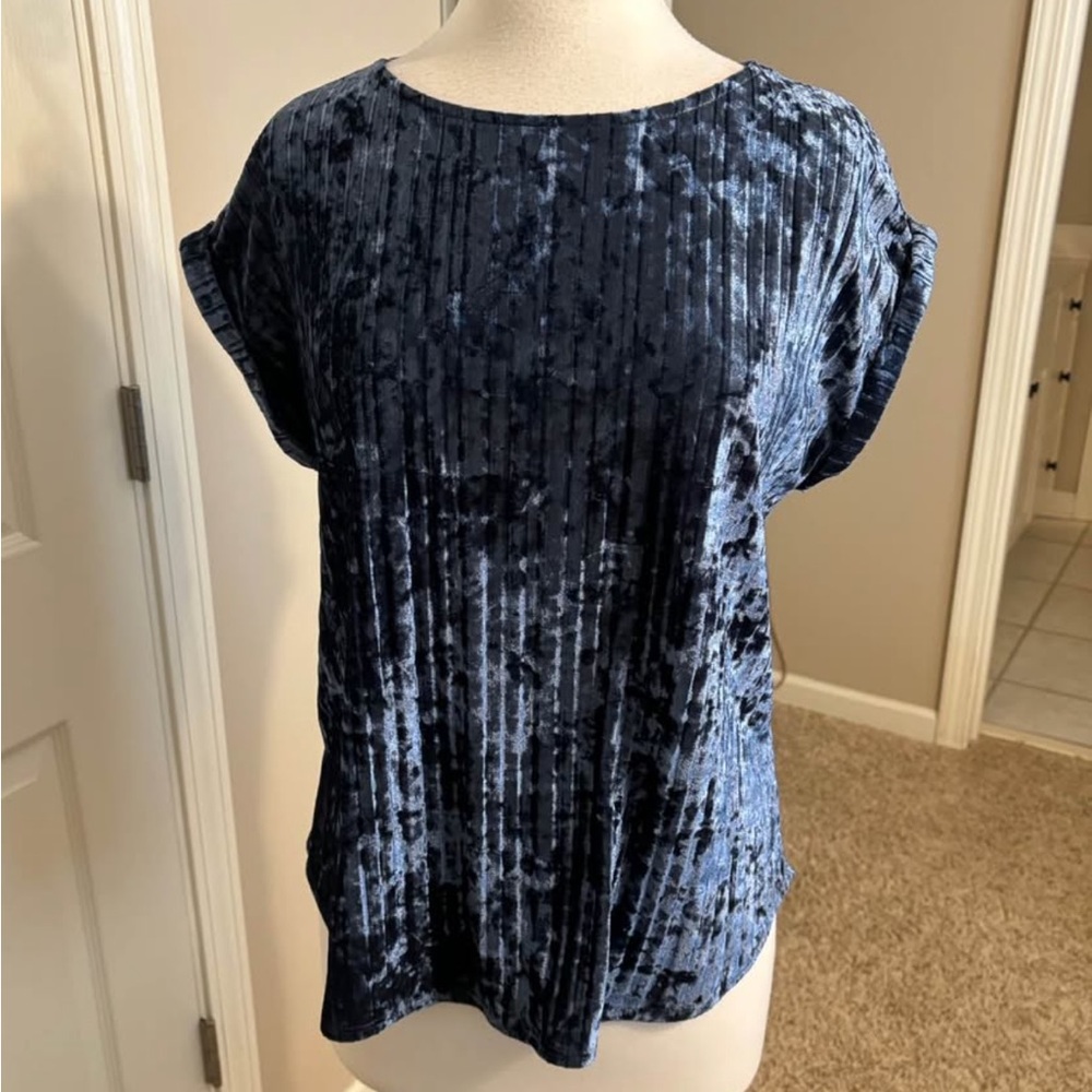 Anthropologie W5 Womens crushed velvet Top. Medium